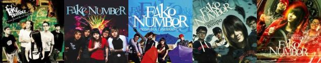 Fake-Number-2007-2012-covers